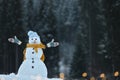 Adorable smiling snowman with Christmas lights outdoors on winter day. Royalty Free Stock Photo