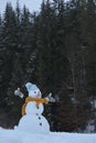 Adorable smiling snowman outdoors Royalty Free Stock Photo