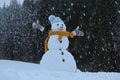 Adorable smiling snowman outdoors on winter Royalty Free Stock Photo
