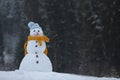 Adorable smiling snowman outdoors on winter day Royalty Free Stock Photo