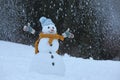 Adorable smiling snowman outdoors on winter day Royalty Free Stock Photo