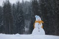 Adorable smiling snowman outdoors on winter day Royalty Free Stock Photo