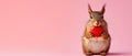 Squirrel stands holding a red heart, a picture of cuteness, Ai Generated