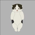 Adorable Standing Cute Cat Cartoon Vector Illustration