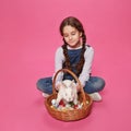 Adorable schoolgirl plays with cute bunny, puts them in a basket, poses in the studio, on a pink background. Royalty Free Stock Photo