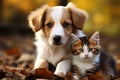 Adorable team a kitty and puppy unite in play, showcasing irresistible cuteness