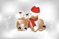 Adorable-teddies-on-Christmas