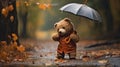 Adorable Teddy Bear: Embracing Rainy Days with Umbrella and Jacket