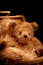 Adorable teddybear in basket