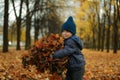 Adorable three year old caucasian boy wearing warm blue jacket and hand knit beanie standing on the lane in a park with a heap of Royalty Free Stock Photo