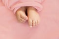 Adorable tine baby girl feet on soft pink background, maternity and babyhood concept