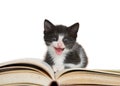 Black and white tuxedo kitten sitting on large story book, mouth open