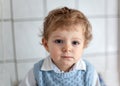 Adorable toddler with blue eyes indoor Royalty Free Stock Photo