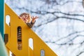 Adorable toddler boy having fun and sliding on outdoor playground Royalty Free Stock Photo