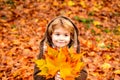 Adorable toddler boy portrait on beautiful autumn day. Royalty Free Stock Photo