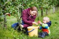 Adorable toddler boy of two years and his mother picking red app Royalty Free Stock Photo