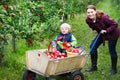 Adorable toddler boy of two years and his mother picking red app Royalty Free Stock Photo