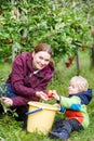 Adorable toddler boy of two years and his mother picking red app Royalty Free Stock Photo