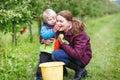 Adorable toddler boy of two years and his mother picking red app Royalty Free Stock Photo