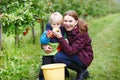 Adorable toddler boy of two years and his mother picking red app Royalty Free Stock Photo