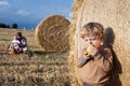 Adorable toddler eating apple on golden field Royalty Free Stock Photo