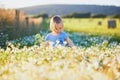 Adorable toddler girl amidst green grass and beauitiful daisies