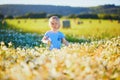 Adorable toddler girl amidst green grass and beauitiful daisies on a summer day