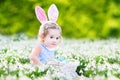 Adorable toddler girl in bunny ears wiht first spring flow Royalty Free Stock Photo