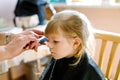 Adorable toddler girl getting his first haircut. Happy cute child sitting at the barbershop. Hairdresser making a hair Royalty Free Stock Photo