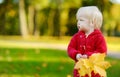 Adorable toddler girl holding yellow maple leaves