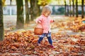 Adorable toddler girl picking chestnuts in basket in Tuileries garden in Paris Royalty Free Stock Photo