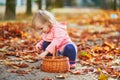 Adorable toddler girl picking chestnuts in basket in Tuileries garden in Paris Royalty Free Stock Photo