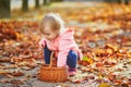 Adorable toddler girl picking chestnuts in Tuileries garden in Paris, France