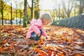 Adorable toddler girl picking chestnuts in Tuileries garden in Paris, France