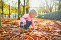 Adorable toddler girl picking chestnuts in Tuileries garden in Paris Royalty Free Stock Photo