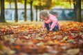 Adorable toddler girl picking chestnuts in Tuileries garden in Paris Royalty Free Stock Photo