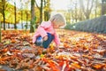Adorable toddler girl picking chestnuts in Tuileries garden in Paris