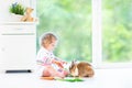 Adorable toddler girl playing with a real bunny Royalty Free Stock Photo