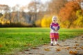 Adorable toddler girl portrait on autumn day Royalty Free Stock Photo