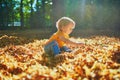 Adorable toddler girl sitting on the ground in large heap of fallen leaves Royalty Free Stock Photo