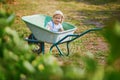 Adorable toddler girl in straw hat sitting in wheelbarrow on a farm Royalty Free Stock Photo