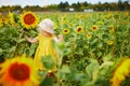 Adorable toddler girl on sunflower field Royalty Free Stock Photo