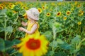 Adorable toddler girl on sunflower field Royalty Free Stock Photo