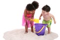 Adorable Toddlers Playing In The Sand