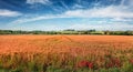Adorable Tuscan view of field of wheat, Italy, Europe. Sunny summer scene of Italian countryside. Traveling concept background Royalty Free Stock Photo