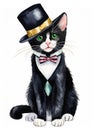 Sweet funny skinny tuxedo cat in a tux, top hat, and pink bow tie