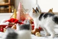 Adorable two kittens playing with christmas star, tree decorations and ornaments in lights Royalty Free Stock Photo