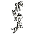 Adorable Vector Cartoon Lineart Zebra Standing Clip Art. Safari Animal Icon. Hand Drawn Kawaii Kid Motif Illustration