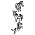 Adorable Vector Cartoon Lineart Zebra Standing Clip Art. Safari Animal Icon. Hand Drawn Kawaii Kid Motif Illustration Doodle in