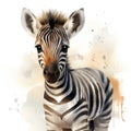 Adorable Watercolor Baby Zebra Clipart on White Background AI Generated Royalty Free Stock Photo